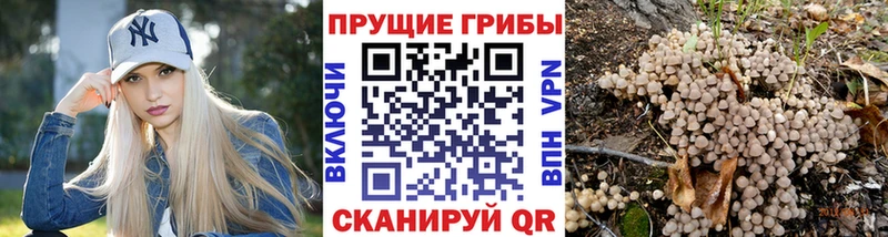 Галлюциногенные грибы ЛСД  магазин продажи   Южно-Сахалинск 