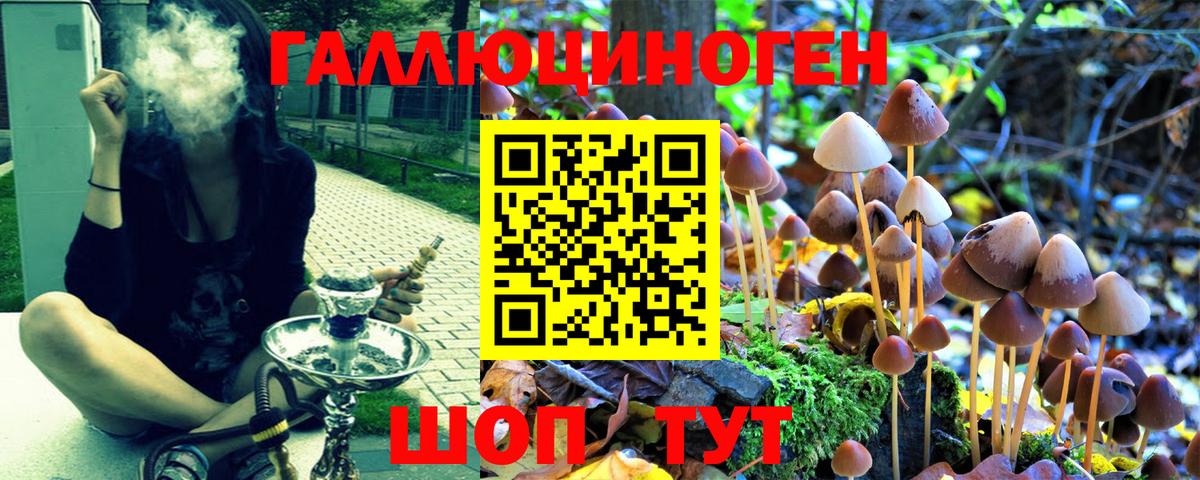 наркота  Псилоцибиновые грибы мицелий  Псилоцибиновые грибы GOLDEN TEACHER  Вход с VPN  Южно-Сахалинск 
